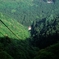 新緑の弥彦山