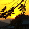 夕暮れ！