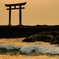 鳥居に灯った提灯