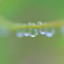 水玉模様01