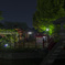 2016.05.05 亀戸天神(藤まつり 夜)