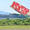 相模大凧まつり