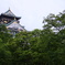 新緑と城