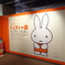 ミッフィー展
