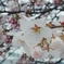 20160406_115958