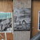 Christchurchその6