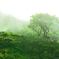 伊吹山