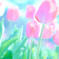 Spring has come !