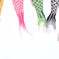 Flying colorful fishes