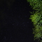 ３月の星空
