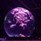 アートアクアリウム