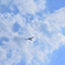 空を仰ぎ見れば