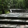 雨上がり