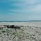 いわきの海