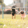 それぞれ