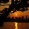 お台場の夕方