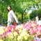 花々散歩