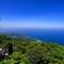 大麻山 日本海