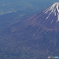 fuji