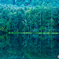 Misyaka pond