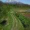 羊蹄山春景　ニセコ町里見付近から