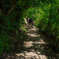 DSC_3163 松山城登山道