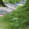 遊歩道1