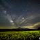 Rape & Milky Way 2