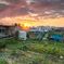 Private farm sunset