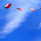 Flags
