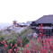 清水寺