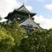 大阪城