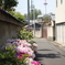 花とタワー