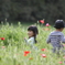 お花畑にて