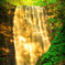 waterfall of gold...