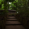 深大寺-