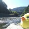 キイロイトリとドライブの果てに