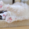 ひゃくれつ肉球！！