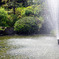柿田川公園