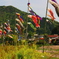 サイクリング