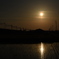 夕日×田んぼ道