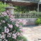 薔薇のある風景