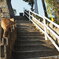 坂の街・猫の街