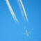 Contrail