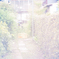 R0019019_w
