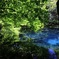 新緑の丸池様