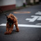 止まれ
