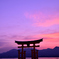 朱に染まる