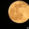 今夜の月