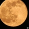 今夜の月